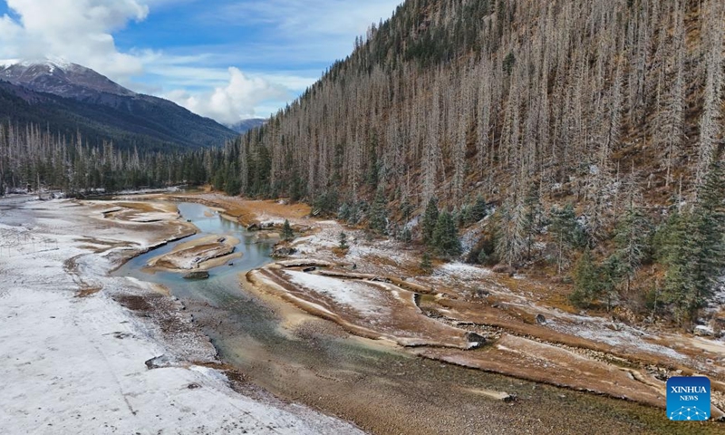 A drone photo taken on Nov. 4, 2024 shows the scenery of Duopugou scenic spot in Dege County of Garze Tibetan Autonomous Prefecture, southwest China's Sichuan Province. The Duopugou scenic spot boasts a picturesque scenery and abundant reserve of animals and plants. (Photo: Xinhua)