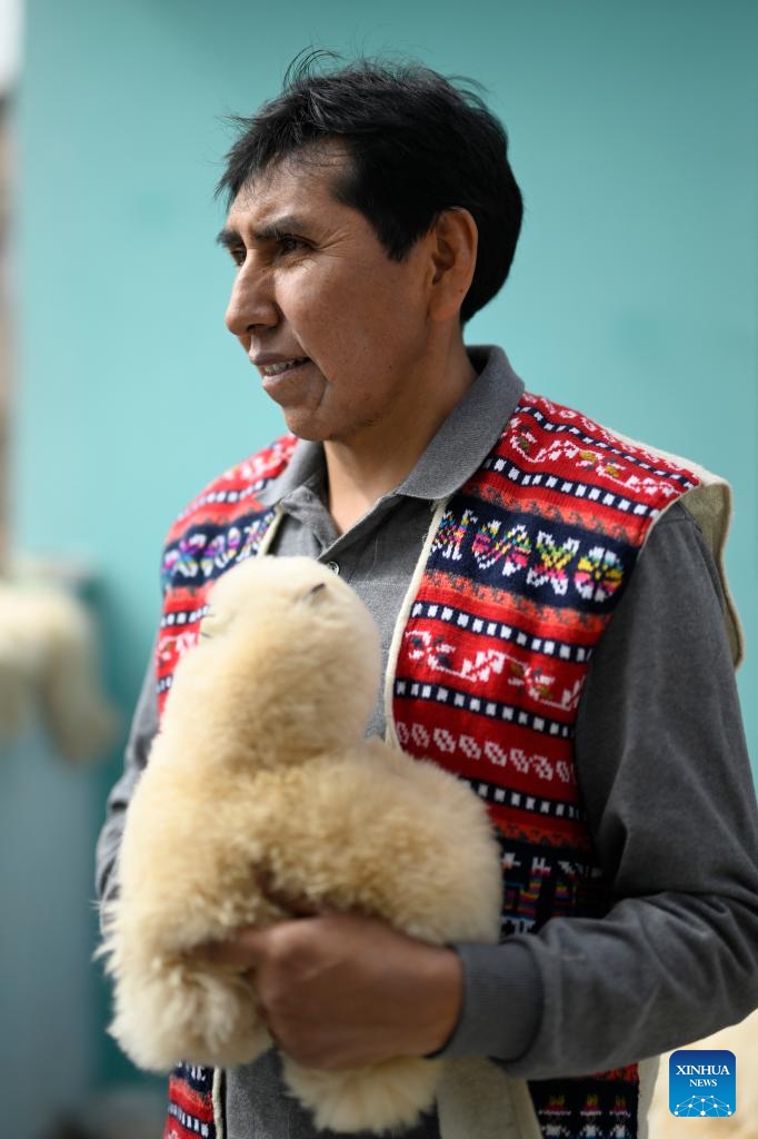 Peruvian craftsman Oswaldo Mamani holds an alpaca toy in Arequipa, Peru, June 20, 2024.  (Photo: Xinhua)