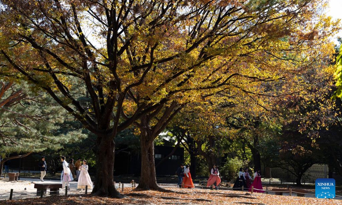 Tourists visit the Gyeongbokgung Palace in Seoul, South Korea, Nov. 6, 2024. (Photo: Xinhua)