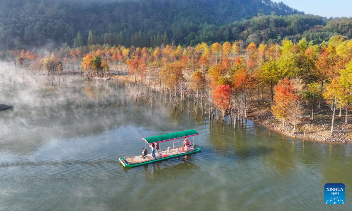 An aerial drone photo taken on Nov. 7, 2024 shows tourists viewing bald cypress forests on a sightseeing raft at a wetland park in Fangtang Township of Ningguo City, east China's Anhui Province. (Photo: Xinhua)