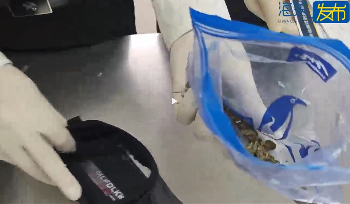 Customs officers in Luohu Port, Shenzhen city, South China's Guangdong Province, recently dealt with a marijuana smuggling case, intercepting 4.82 grams of the drug concealed in a passenger's shoe insoles. Photo: Screenshot from China Central Television