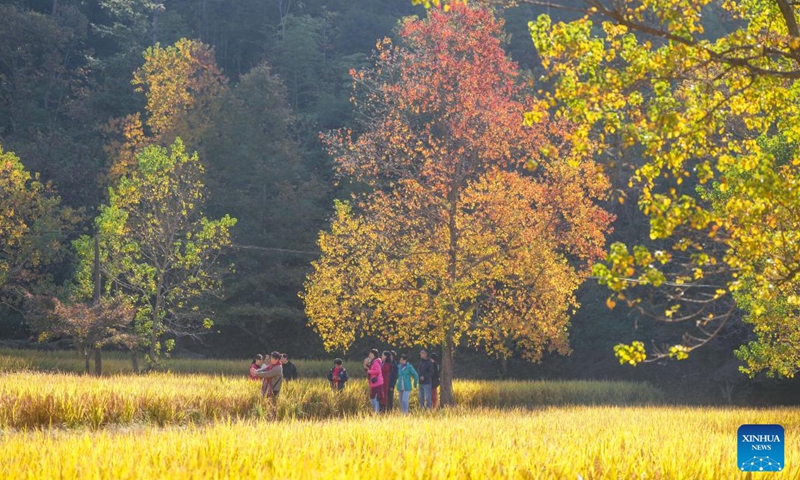 Tourists visit a scenic spot at Tachuan Village, Yixian County, Huangshan City, east China's Anhui Province, Nov. 8, 2024. (Photo: Xinhua)