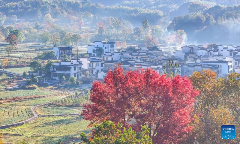 An aerial drone photo shows a view of Tachuan Village, Yixian County, Huangshan City, east China's Anhui Province, Nov. 8, 2024.  (Photo: Xinhua)