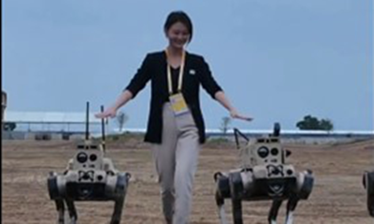 Reporters from the Global Times on Sunday interacted with robo-wolves, or quadrupedal robots at the ground dynamic display area of Airshow China 2024.