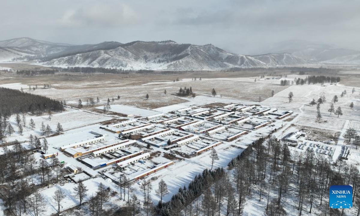 This photo taken on Nov. 11, 2024 shows the scenery in Chaihe Town of Zhalantun, north China's Inner Mongolia Autonomous Region. (Photo: Xinhua)