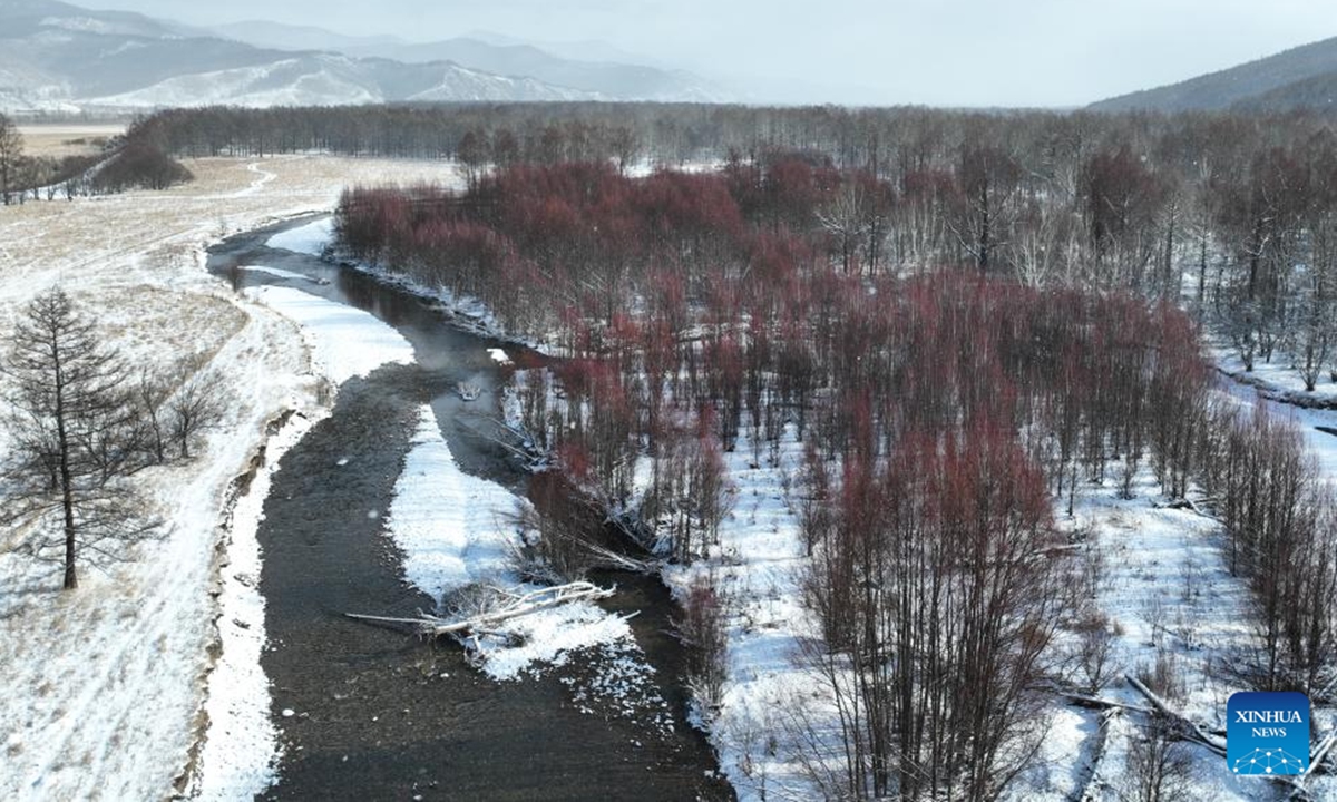 This photo taken on Nov. 11, 2024 shows the scenery in Chaihe Town of Zhalantun, north China's Inner Mongolia Autonomous Region. (Photo: Xinhua)