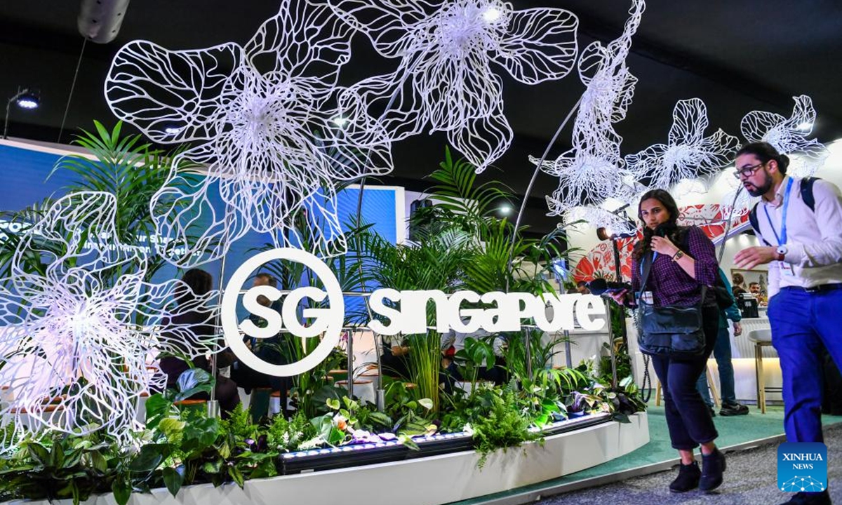 Attendees are seen at an exhibition area of the 29th session of the Conference of the Parties to the United Nations Framework Convention on Climate Change (UNFCCC) in Baku, Azerbaijan, Nov. 11, 2024.  (Photo: Xinhua)