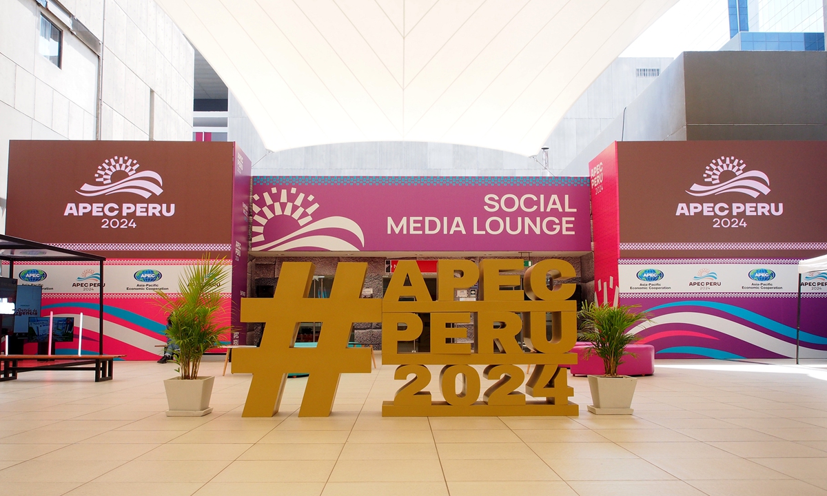 Social media lounge view on the first day of the APEC Peru 2024 Economic Leaders Week on November 10, 2024 Photo: VCG