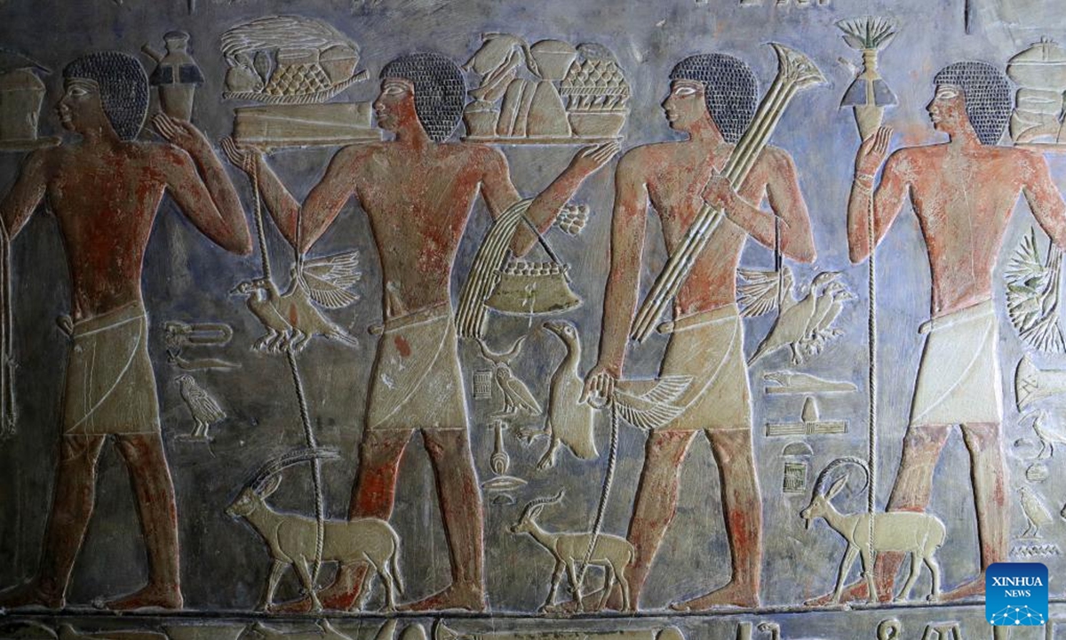 This photo taken on Nov. 12, 2024 shows a colored relief painting inside the tomb of an official of ancient Egypt in Saqqara necropolis, south of Cairo, Egypt. The Saqqara necropolis is home to numbers of noble tombs, in which many colored relief paintings depicting ancient Egyptian daily life are still well preserved.  (Photo: Xinhua)