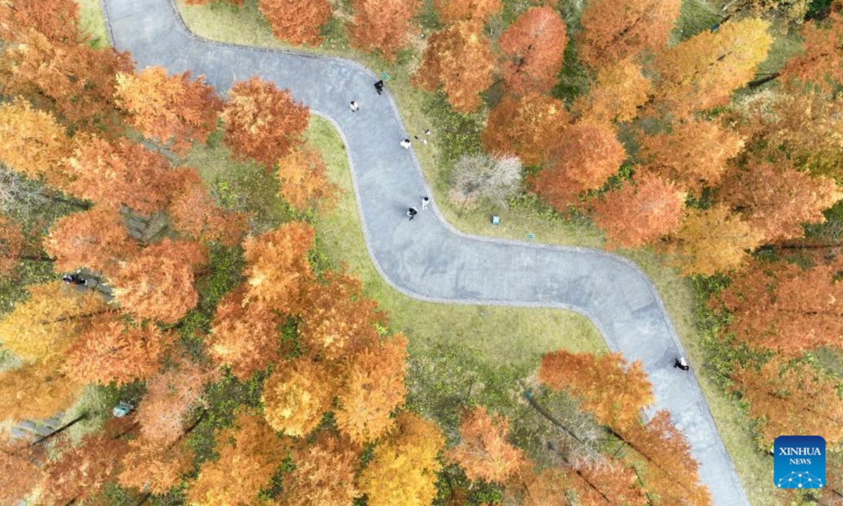 An aerial drone photo taken on Nov. 11, 2024 shows people having fun at a scenic spot in Youyang Tujia and Miao Autonomous County, southwest China's Chongqing Municipality. (Photo: Xinhua)