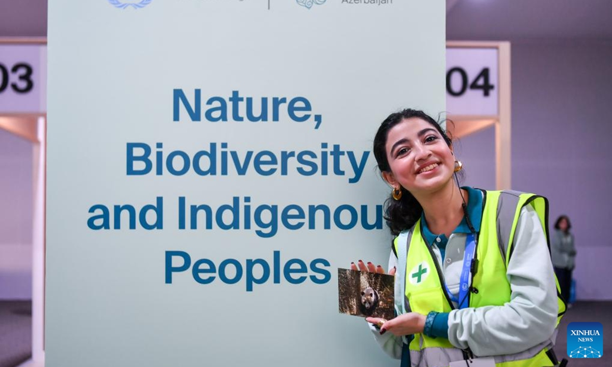 A staff member shows a panda-themed postcard during the 29th session of the Conference of the Parties to the United Nations Framework Convention on Climate Change (COP29) in Baku, Azerbaijan, Nov. 12, 2024.  (Photo: Xinhua)