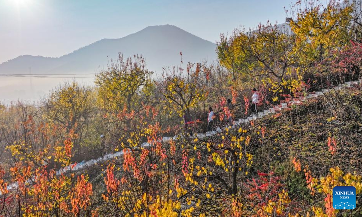 A drone photo taken on Nov. 12, 2024 shows people visiting a scenic area in Zunhua, north China's Hebei Province. (Photo: Xinhua)