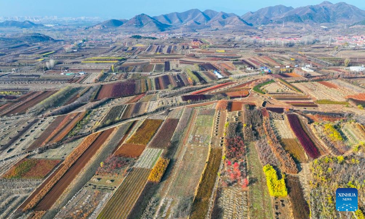 An aerial drone photo taken on Nov. 14, 2024 shows the scenery in Xindianzi Town of Zunhua City, north China's Hebei Province. (Photo: Xinhua)