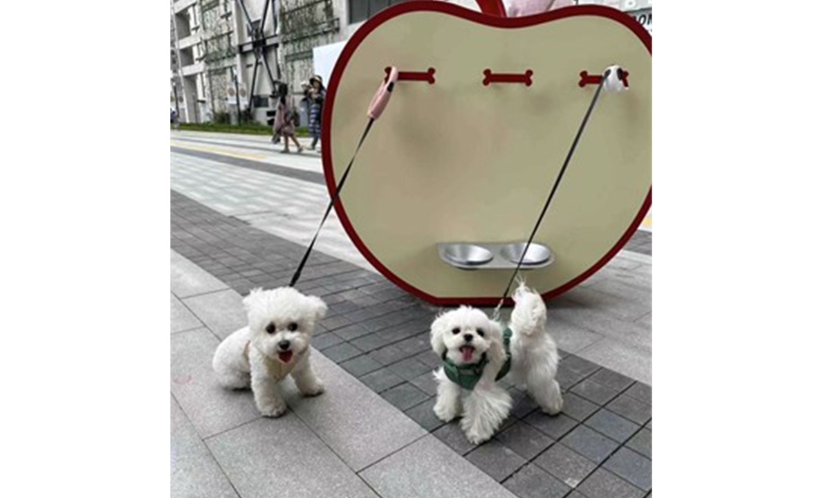 Dogs are temporarily secured at a dog parking space near a shopping mall in Shanghai's Xuhui district. Photo: screenshot from Sina Weibo