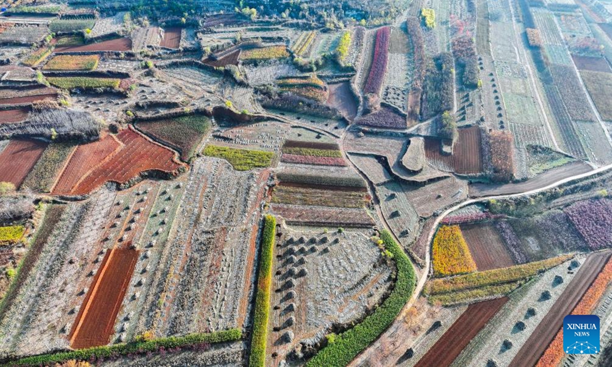 An aerial drone photo taken on Nov. 14, 2024 shows the scenery in Xindianzi Town of Zunhua City, north China's Hebei Province.(Photo: Xinhua)