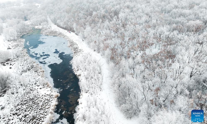 An aerial drone photo taken on Nov. 14, 2024 shows the rime scenery in Morin Dawa Daur Autonomous Banner, north China's Inner Mongolia Autonomous Region. (Xinhua/Lian Zhen)