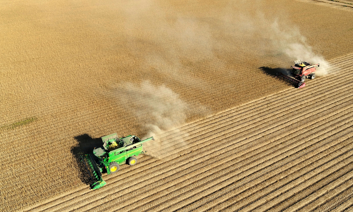 Combine harvesters in full swing harvesting soybeans in Heihe, Northeast China's Heilongjiang Province on September 21, 2024. Photo: IC