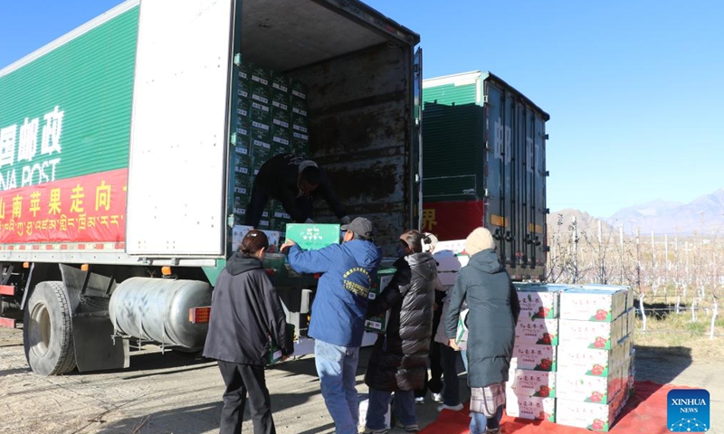 Workers load apples onto a truck in Chanang County of Shannan City, southwest China's Xizang Autonomous Region, Nov. 15, 2024. Southwest China's Xizang Autonomous Region made a breakthrough in trade on Saturday when two vehicles carrying 30 tonnes of locally grown apples departed for Nepal from the region's Shannan City, which borders Bhutan and India.(Xinhua)