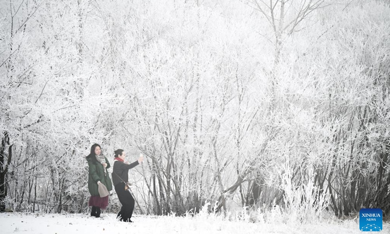 Tourists enjoy the rime scenery in Morin Dawa Daur Autonomous Banner, north China's Inner Mongolia Autonomous Region, Nov. 14, 2024. (Xinhua/Lian Zhen)