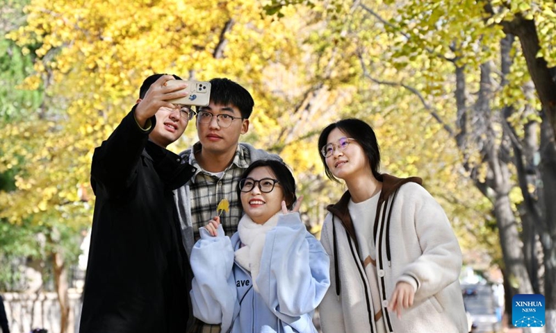 People take selfies under golden leaves in Qingdao, east China's Shandong Province, Nov. 17, 2024. (Xinhua/Li Ziheng)