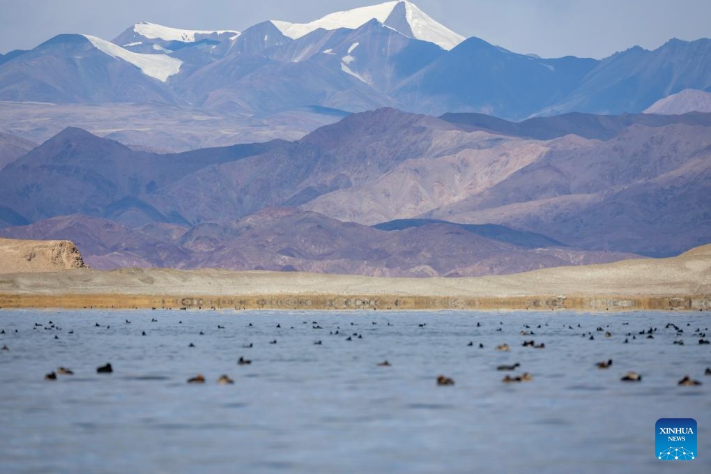 This photo shows the scenery of the Banggong Co in Rutog County of Ngari Prefecture, southwest China's Xizang Autonomous Region, Nov. 16, 2024. (Xinhua/Jiang Fan)