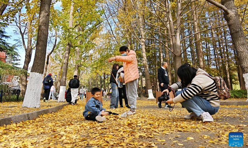 People play with fallen leaves at Badaguan scenic area in Qingdao, east China's Shandong Province, Nov. 17, 2024. (Xinhua/Li Ziheng)