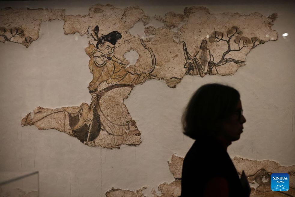 A visitor is pictured at an exhibition titled Tang China -- A Cosmopolitan Dynasty (7th-10th Century) at the Guimet National Museum of Asian Arts in Paris, France, Nov. 18, 2024. The exhibition was inaugurated Monday at France's Guimet National Museum of Asian Arts. The exhibition, directed by China's National Cultural Heritage Administration and the French Ministry of Culture, showcases over 200 pieces or sets of exquisite artifacts from 32 cultural and museum institutions in 10 provincial-level regions and cities in China. (Photo: Xinhua)