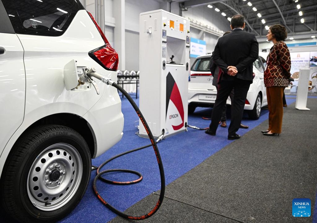 People visit an exhibition during the LPG Week 2024 in Cape Town, South Africa, on Nov. 20, 2024. (Photo by Xabiso Mkhabela/Xinhua)