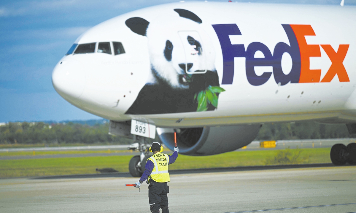 A cargo jet operated by FedEx transporting two giant pandas, Bao Li and Qing Bao, lands at Dulles airport in Virginia on October 15, 2024. Photo: VCG