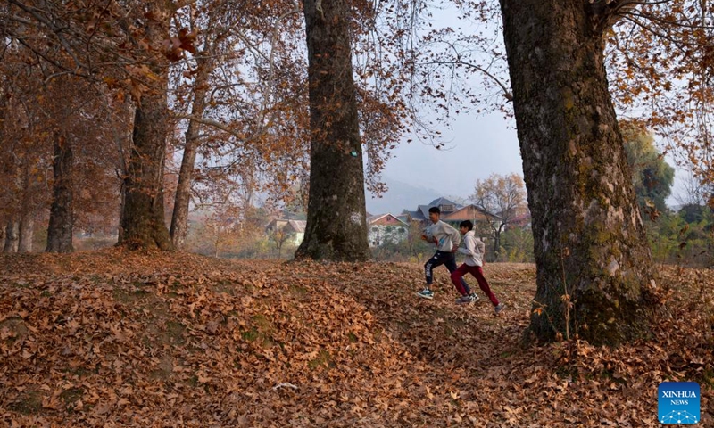 Children play at Nishat garden in Srinagar city, the summer capital of Indian-controlled Kashmir, Nov. 20, 2024. (Xinhua/Javed Dar)