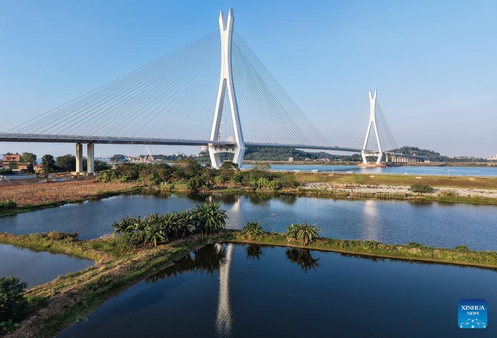 An aerial drone photo taken on Nov. 21 2024 shows a view of the Fulong Xijiang super major bridge in Foshan, south China's Guangdong Province.  (Xinhua/Liu Dawei)