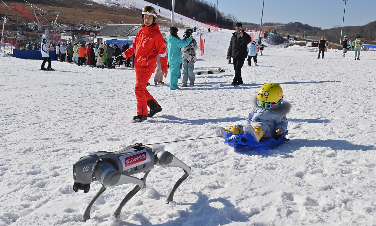 A robotic dog pulls a child on a sleigh at the Lianhuashan ski resort in Changchun, Northeast China's Jilin Province, on November 22, 2024, the opening day of the ski resort this winter. In addition to interacting with tourists, the newly launched six new robotic dogs are also able to engage in multiple service tasks such as cargo transportation, emergency aid and security patrols.  Photo: VCG