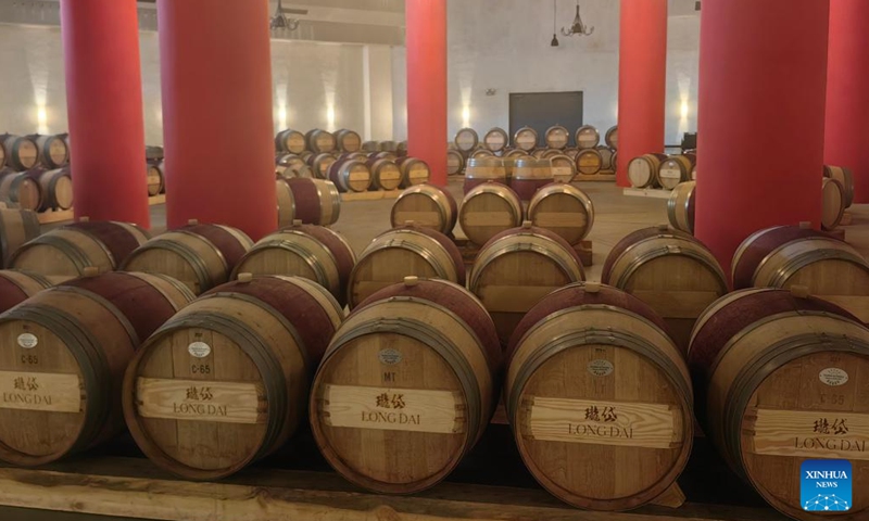 This photo taken on April 10, 2024 shows oak barrels in the Domaine de Long Dai winery in Penglai District of Yantai, east China's Shandong Province. (Xinhua/Shao Kun)