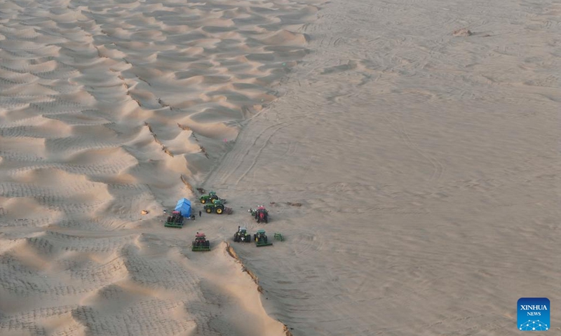 A drone photo taken on Nov. 9, 2024 shows villagers planing sands to plant Cistanche deserticola, a Chinese herbal medicine, near Daliyabuyi Village, Yutian County of northwest China's Xinjiang Uygur Autonomous Region. (Xinhua/Hu Huhu)