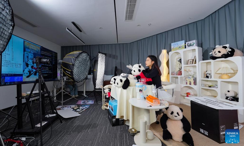 A staff member introduces stuffed panda toy products via livestreams at a studio of the Panda Factory headquarters in Chengdu, southwest China's Sichuan Province, Nov. 20, 2024.(Xinhua/Shen Bohan)