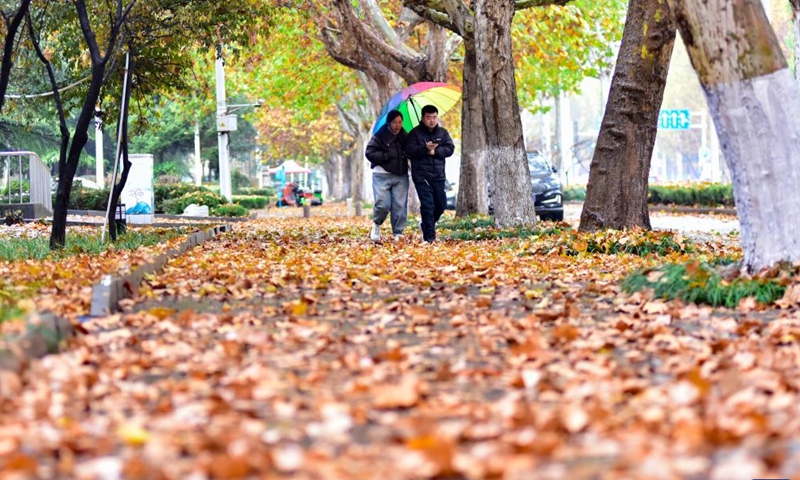 Pedestrians walk on a street in Qingzhou, east China's Shandong Province, Nov. 25, 2024. (Photo: Xinhua)