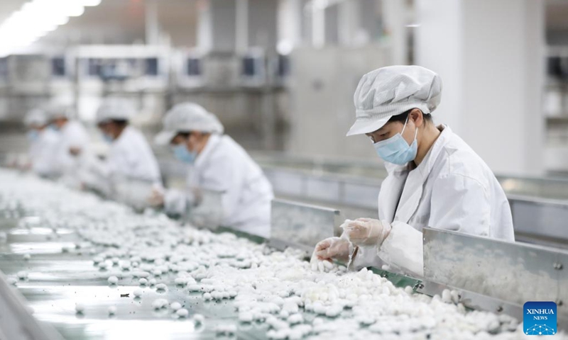 Employees collect cocoons at a production line of Yashilin Changsha (International) Silkworm Silk Intellectual Industry Project in Changsha, central China's Hunan Province, Nov. 24, 2024. (Photo: Xinhua)