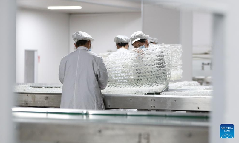 Employees collect cocoons at a production line of Yashilin Changsha (International) Silkworm Silk Intellectual Industry Project in Changsha, central China's Hunan Province, Nov. 24, 2024. (Photo: Xinhua)