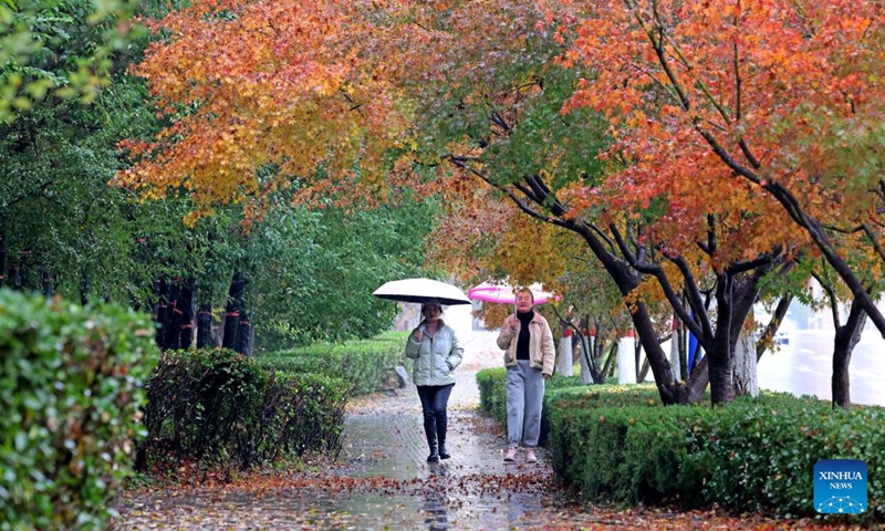 Pedestrians walk on a street in Zaozhuang, east China's Shandong Province, Nov. 25, 2024. (Photo: Xinhua)