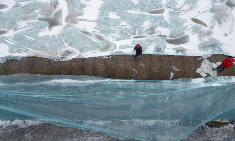 An aerial drone photo shows a staff member removing the thermal insulation material covering an ice cube reserve ahead of the construction of the 26th Harbin Ice-Snow World in Harbin, northeast China's Heilongjiang Province, Nov. 26, 2024. The Harbin Ice-Snow World is a renowned seasonal theme park in Harbin which enjoys great popularity every winter. This year, the park will highlight the upcoming Asian Winter Games, a sports event scheduled for February 2025 in Heilongjiang Province. (Photo: Xinhua)