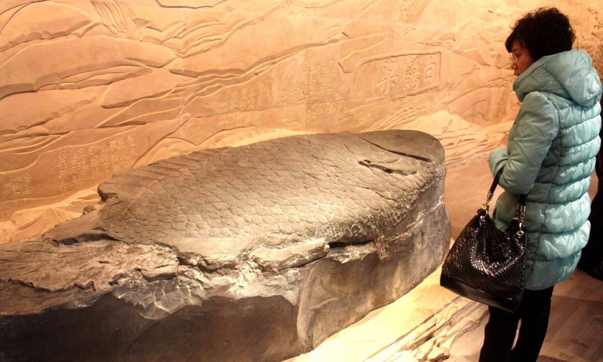 A visitor observes stone fish inscriptions at the Underwater Museum of Baiheliang. Photo: IC