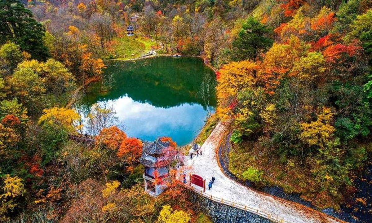 A bird’s-eye view of the Trumpet River