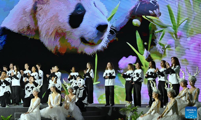 Members of German Burg Chinese Chorus and Chinese students stage a chorus at the opening ceremony of the Global Panda Partners 2024 conference in Chengdu, southwest China's Sichuan Province, Nov. 26, 2024. The event opened here on Tuesday with the theme Harmonious Coexistence Between Man and Nature. (Photo: Xinhua)