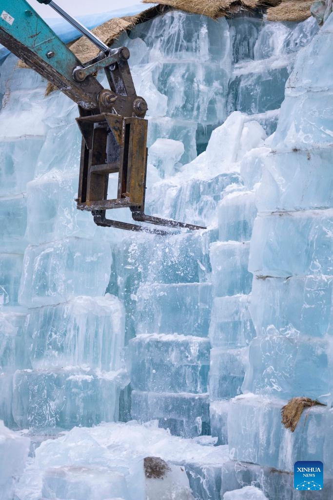 An engineering vehicle fetches ice cubes to be used in the construction of the 26th Harbin Ice-Snow World in Harbin, northeast China's Heilongjiang Province, Nov. 26, 2024. (Photo: Xinhua)