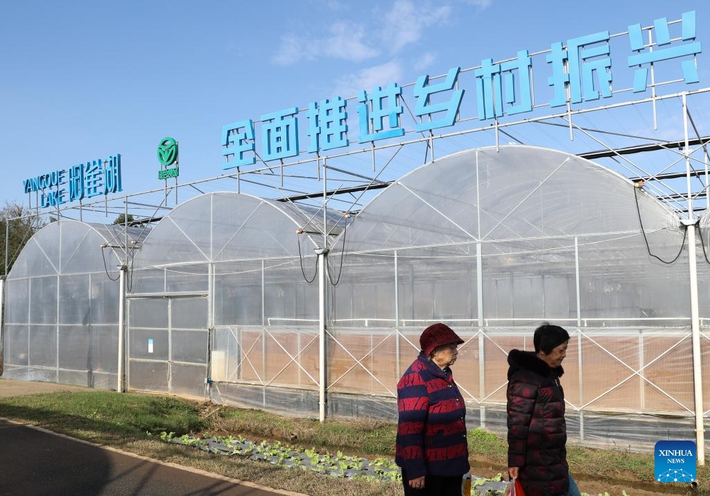 Villagers walk past the smart greenhouses of the Yangque Lake Zhangshugang pepper planting base in Zhangshu Town of Yueyang City, central China's Hunan Province, Nov. 26, 2024. Hunan, a main pepper planting area in China, has been advancing the application of smart greenhouses in pepper planting industry through combined efforts. (Xinhua/Wang Jingqiang)