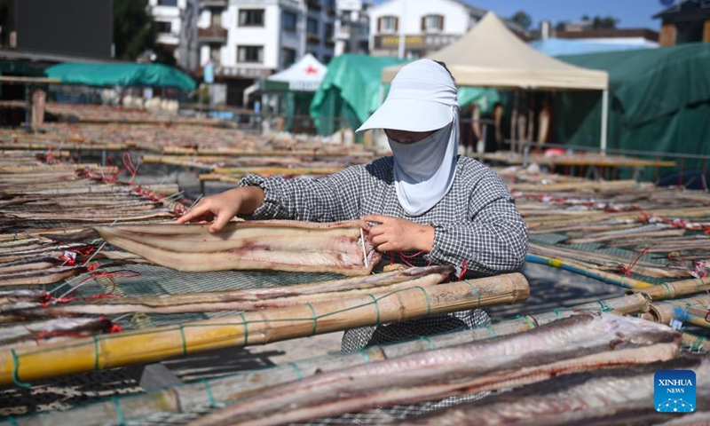 A villager airs eels at Dong'ao Village in Wenzhou City, east China's Zhejiang Province, Nov. 27, 2024. (Photo: Xinhua)