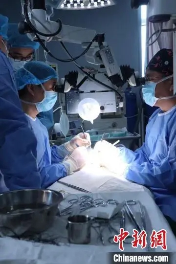 An organ transplantation research team from Wuhan's Tongji Hospital conducts xenotransplantation experiments. Photo: chinanews.com