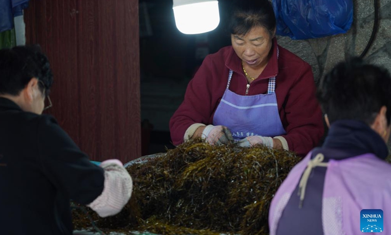 Villagers prepare seaweed seedlings for marine farming at Dong'ao Village in Wenzhou City, east China's Zhejiang Province, Nov. 27, 2024.(Photo: Xinhua)