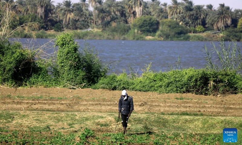 A Sudanese farmer walks in his farm in Tomnar village of Dongola, Sudan, Nov. 30, 2024. Farmers in Sudan's Northern State are busy with agricultural production work as the winter farming season comes. The devastating war which has been going on between the Sudanese Armed Forces and the paramilitary Rapid Support Forces since April 2023, has gravely affected the agricultural sector. Photo: Xinhua