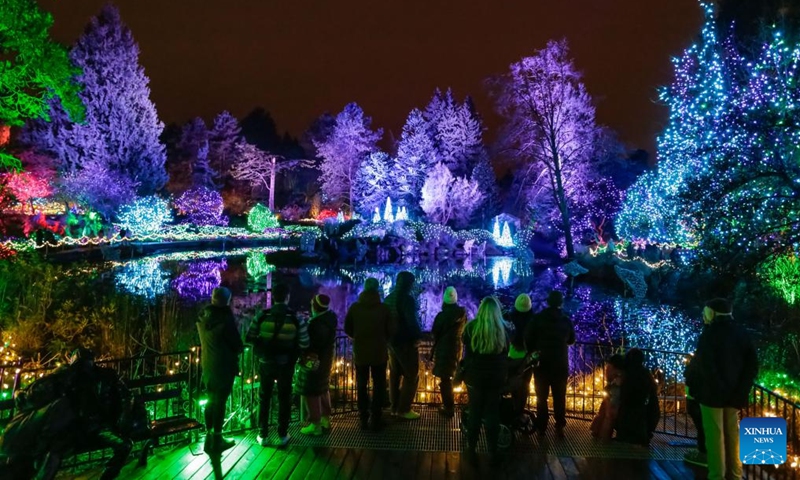 People enjoy light installations for the annual Festival of Lights event at VanDusen Botanical Garden in Vancouver, British Columbia, Canada, Nov. 29, 2024. The annual holiday tradition returned for its 40th anniversary and kicked off in Vancouver on Friday. Photo: Xinhua